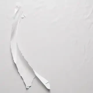 torn paper transparent