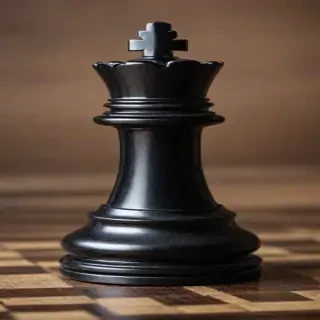 rook chess