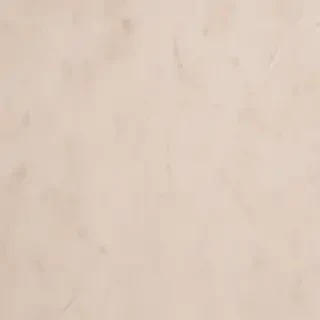 aesthetic neutral wallpaper