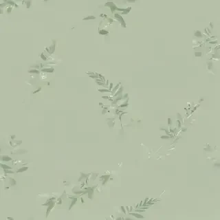 light sage green background