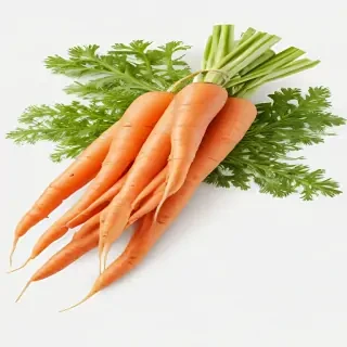 carrot png