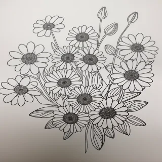line drawn flowers