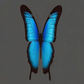 blue butterfly png