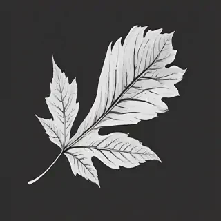 clipart leaf black and white