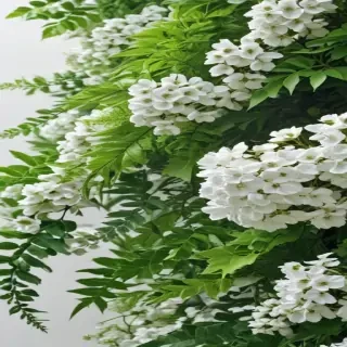 white and greenery background