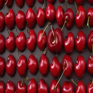 cherry background