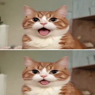 funny gifs