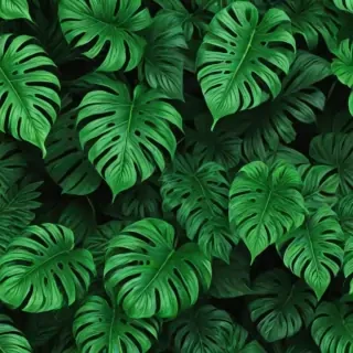 green aesthetic png