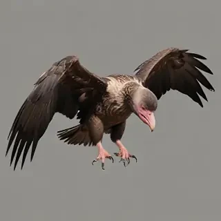 vultures png