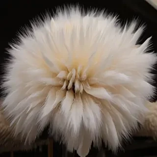 fur elise
