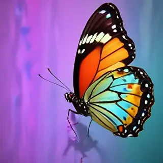 butterfly iphone wallpaper
