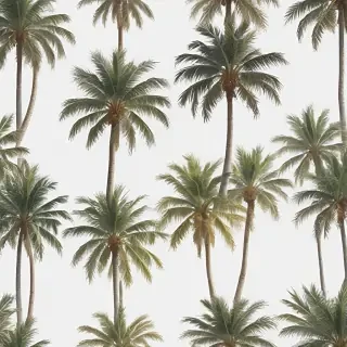 palm trees transparent