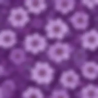 background flower purple