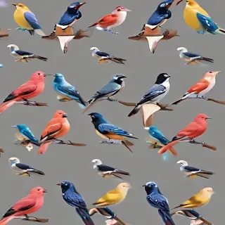 birds transparent background
