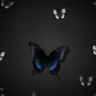 black wallpaper butterfly