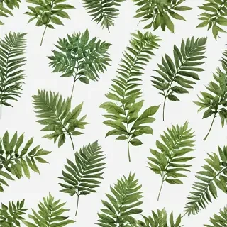 plants transparent background
