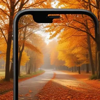 autumn background iphone
