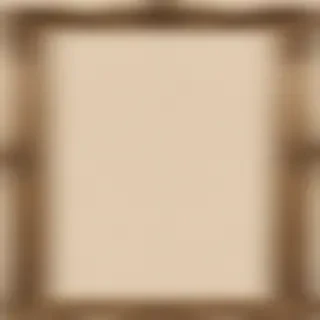 antique frame png