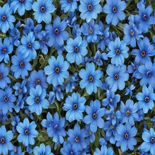 blue flowers background