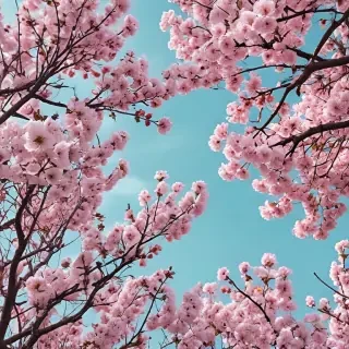 spring wallpaper aesthetic