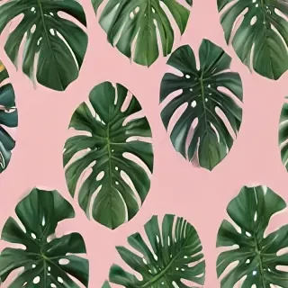 aesthetic monstera wallpaper