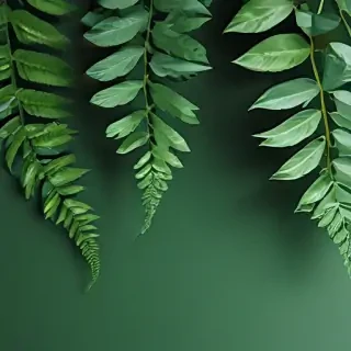 green background aesthetic