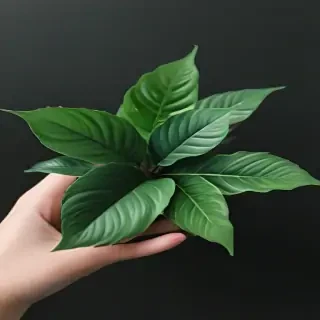plant phone wallpaper