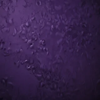 dark purple wallpaper iphone