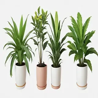 aesthetic plants png