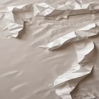 crumpled paper overlay