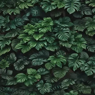 aesthetic plant wallpaper