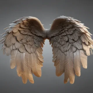 angel wings transparent background