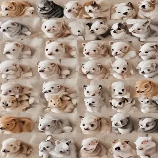 baby animals