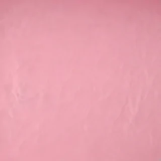 plain pink background