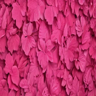 hot pink wallpaper for iphone
