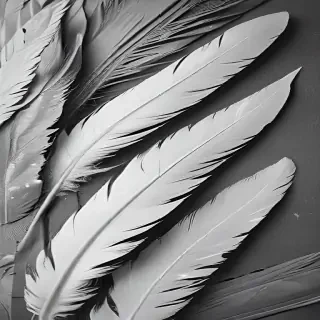 feather background