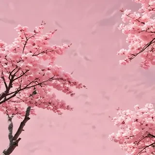 pastel pink aesthetic wallpaper