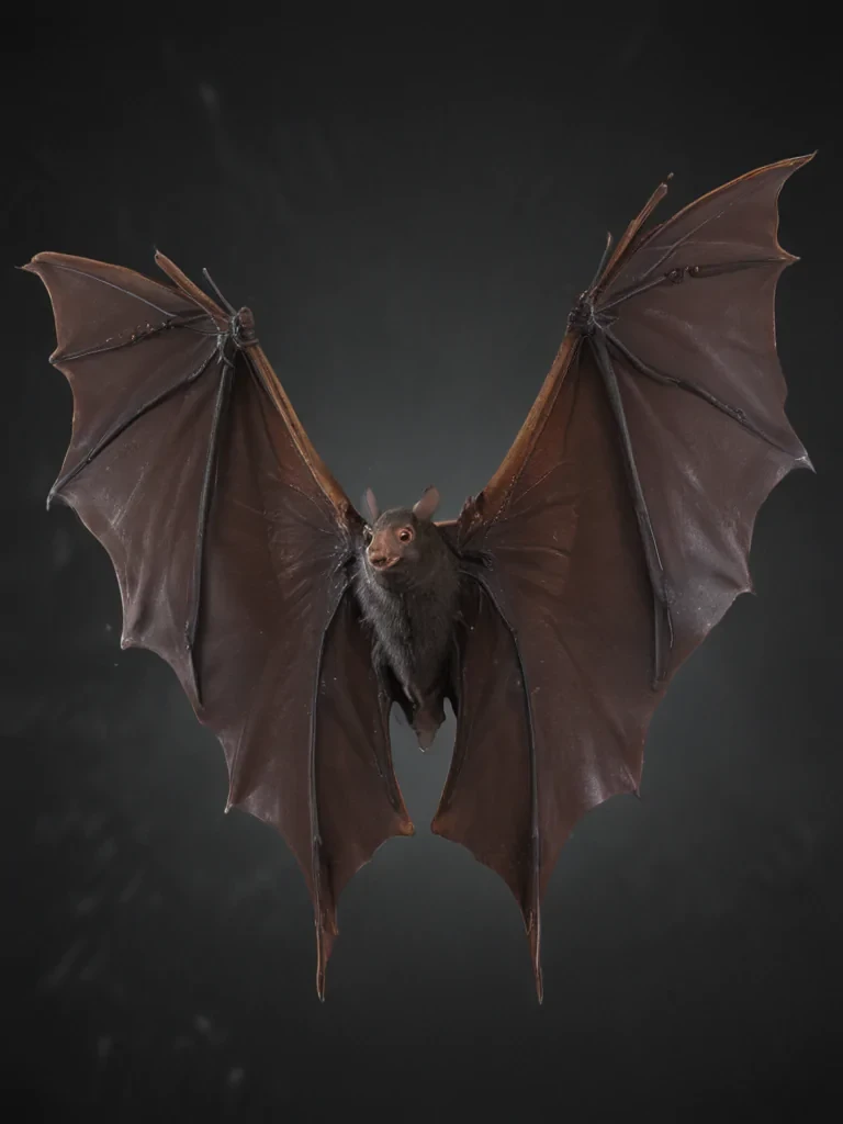 bat wings png