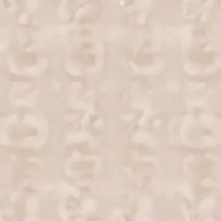 aesthetic neutral wallpaper