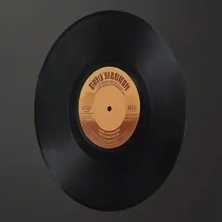 vinyl record png