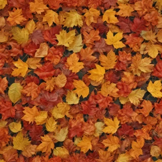 fall leaves aesthetic
