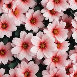 asthetic flower wallpaper