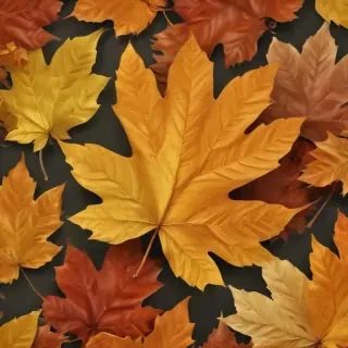 fall leaf png
