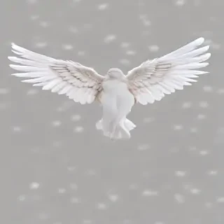 angel wings transparent background