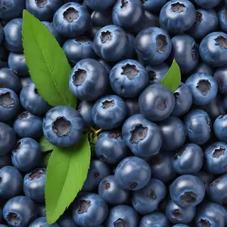 blueberry png