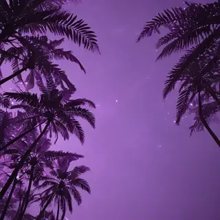 aesthetic purple pictures