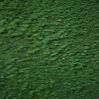 green textures
