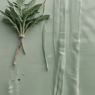 sage green aesthetic