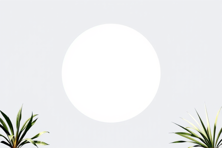 circle frame png