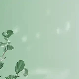 pastel green aesthetic wallpaper